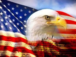 Patriot Glass LLC Patriot Glass LLC