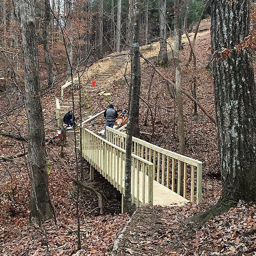 Backyard Bridge