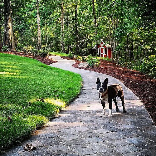 Landscaping Services