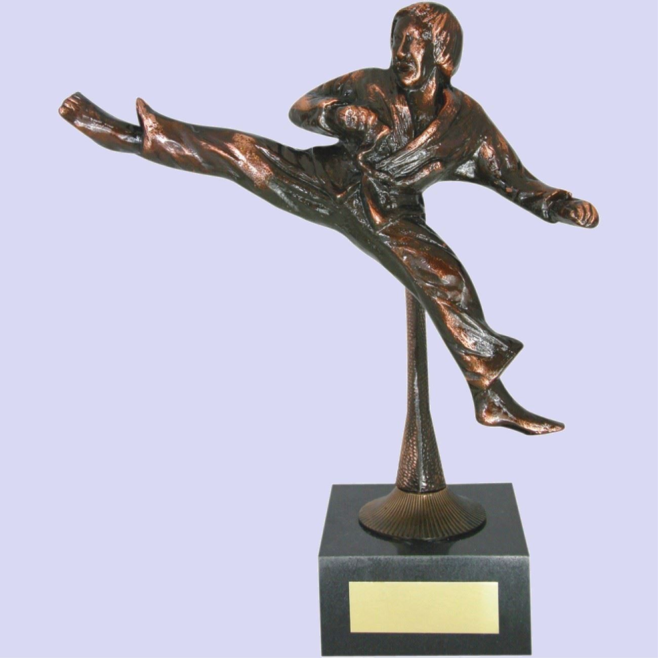 Trophy for black belt rankings winners