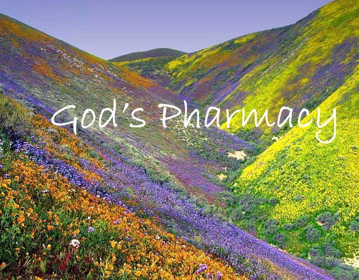 Pharmacy