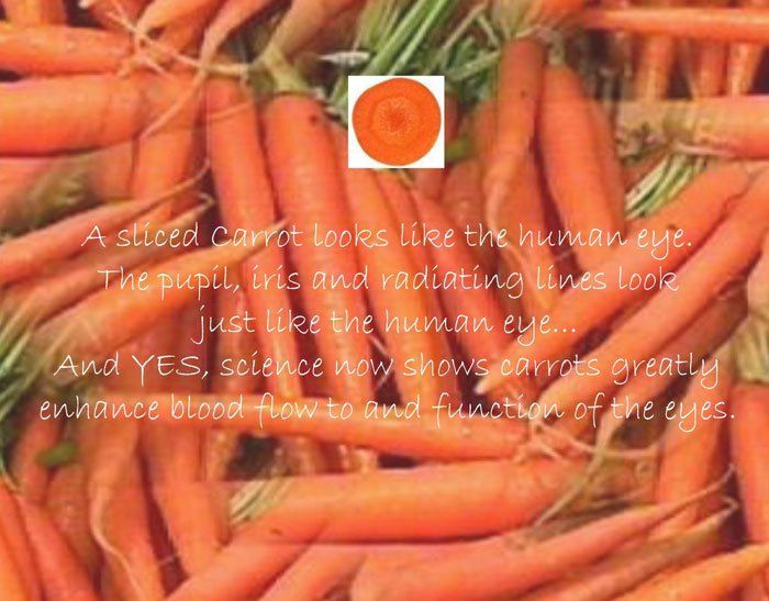 Carrot