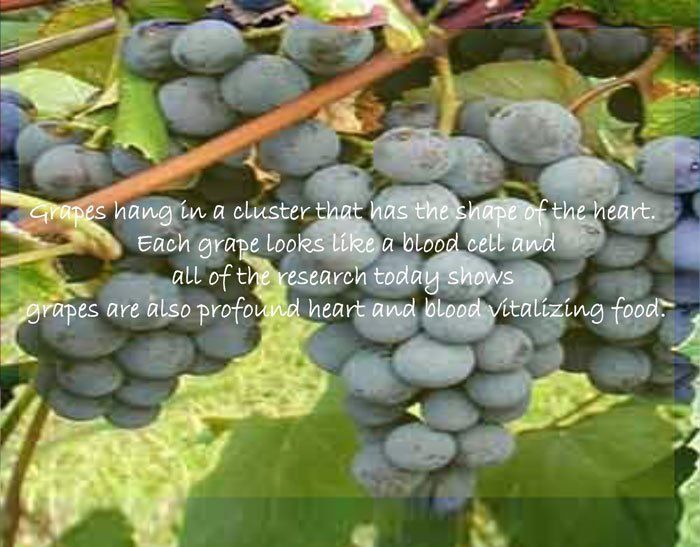 Grapes