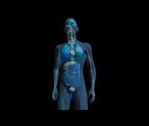 EIS scan