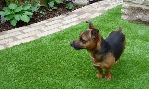 Artificial lawn