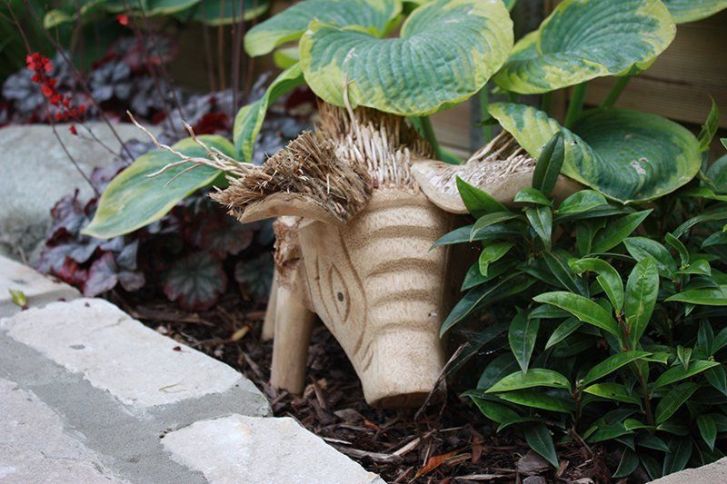 Designer plants