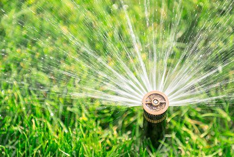 Automatic Sprinkler — Denver, CO — Mile-Hi Sprinkler Automatic Sprinkler — Denver, CO — Mile-Hi Sprinkler