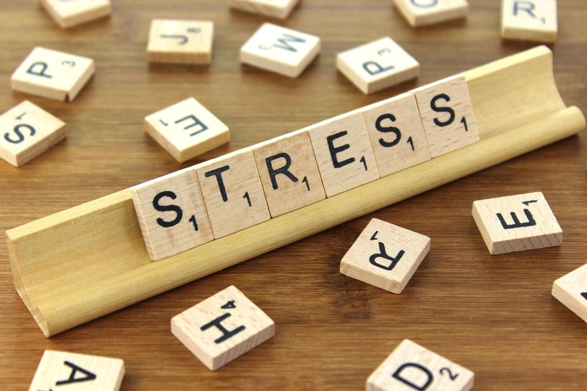 Stress Products