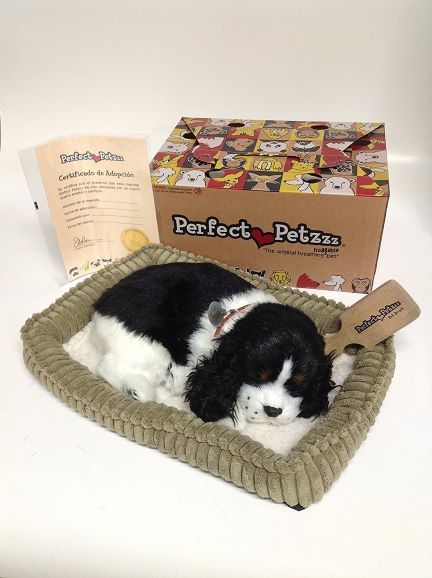 Perfect Petzzz