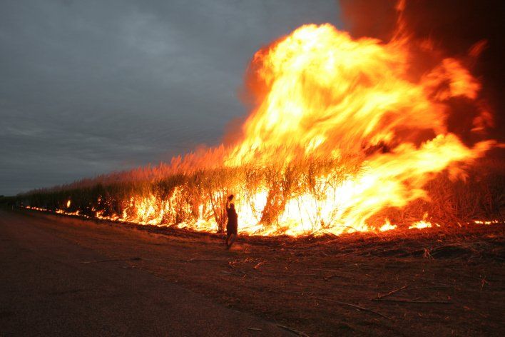Large Grass Fire — Florida — Air Duct Aseptics