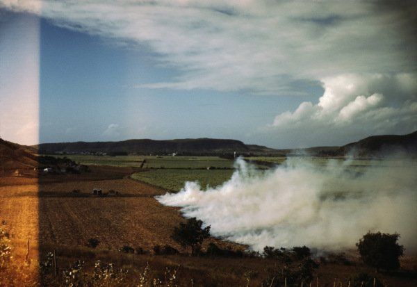 Top View of the Grass Fire — Florida — Air Duct Aseptics