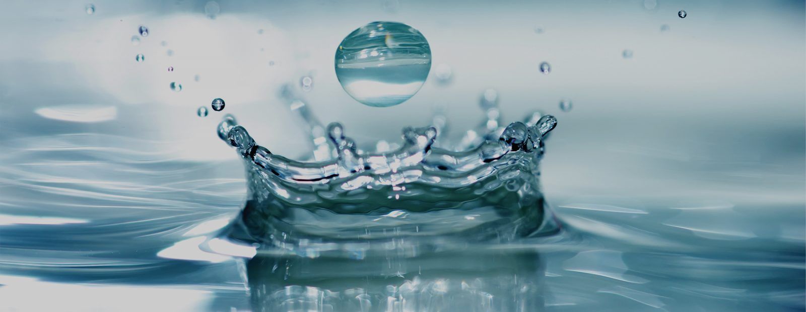 Drinking Water - Jones and Henry Laboratories