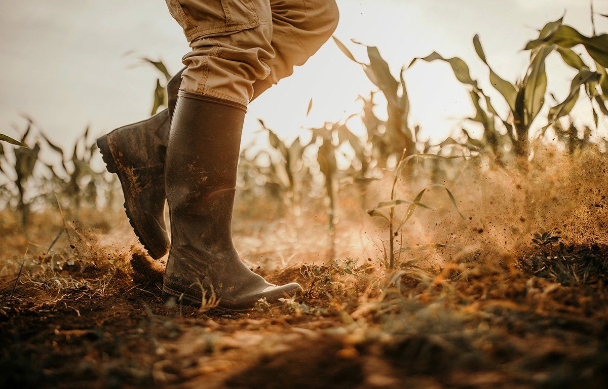 Soil Testing - Jones and Henry Laboratories