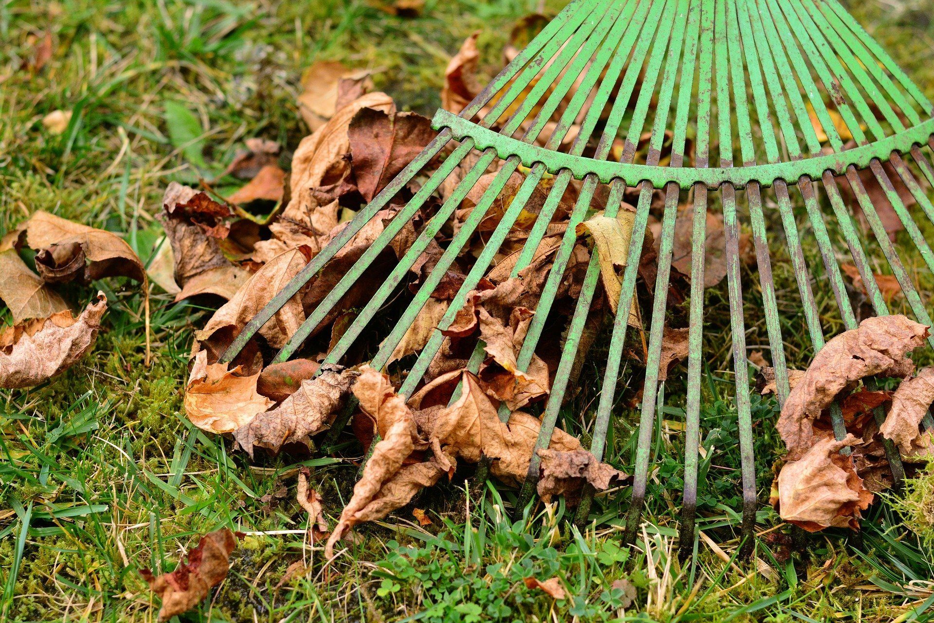 Yard cleanup services
