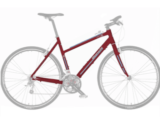 bicicletta trekking