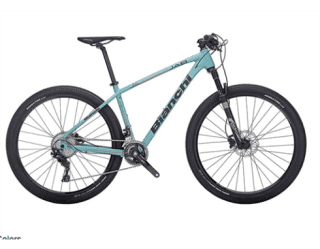 MTB