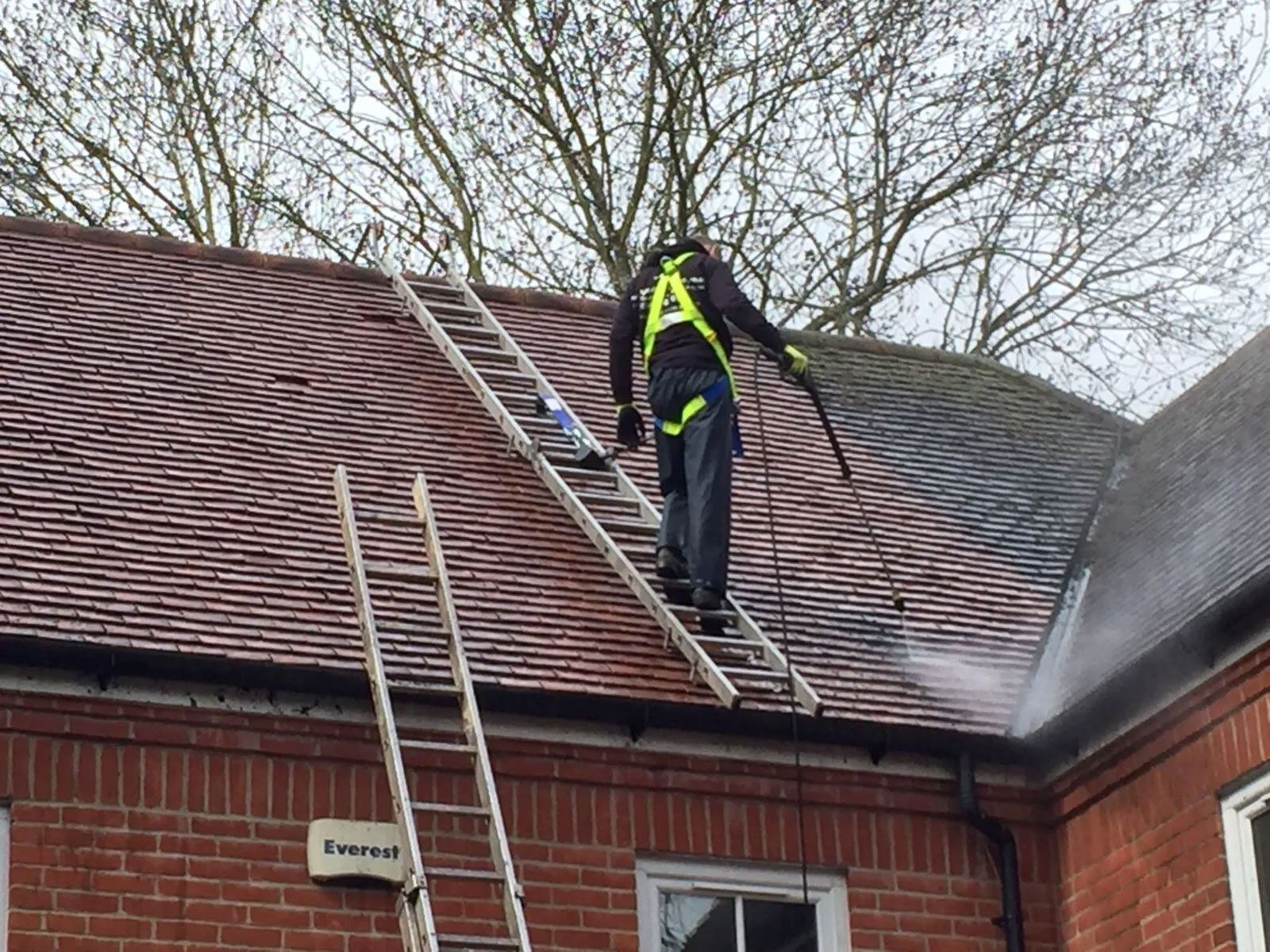 Roof cleaning