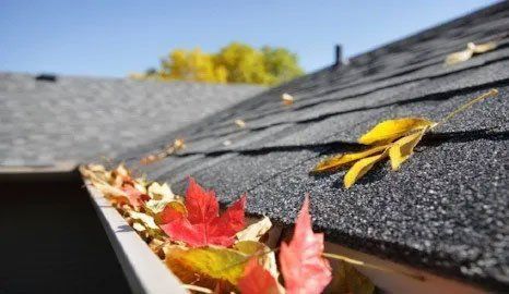 Autumn leaves blocking up a roof gutter