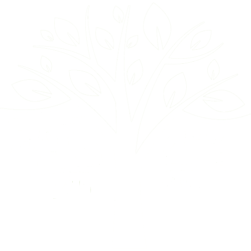 Tree Service in Newark, OH | Davis Tree & Stump Service Tree Service in Newark, OH | Davis Tree & Stump Service