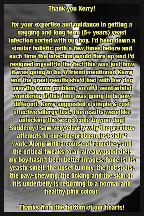 Testimonial For Kerry — Animal Care Sydney in Castle Hill, NSW