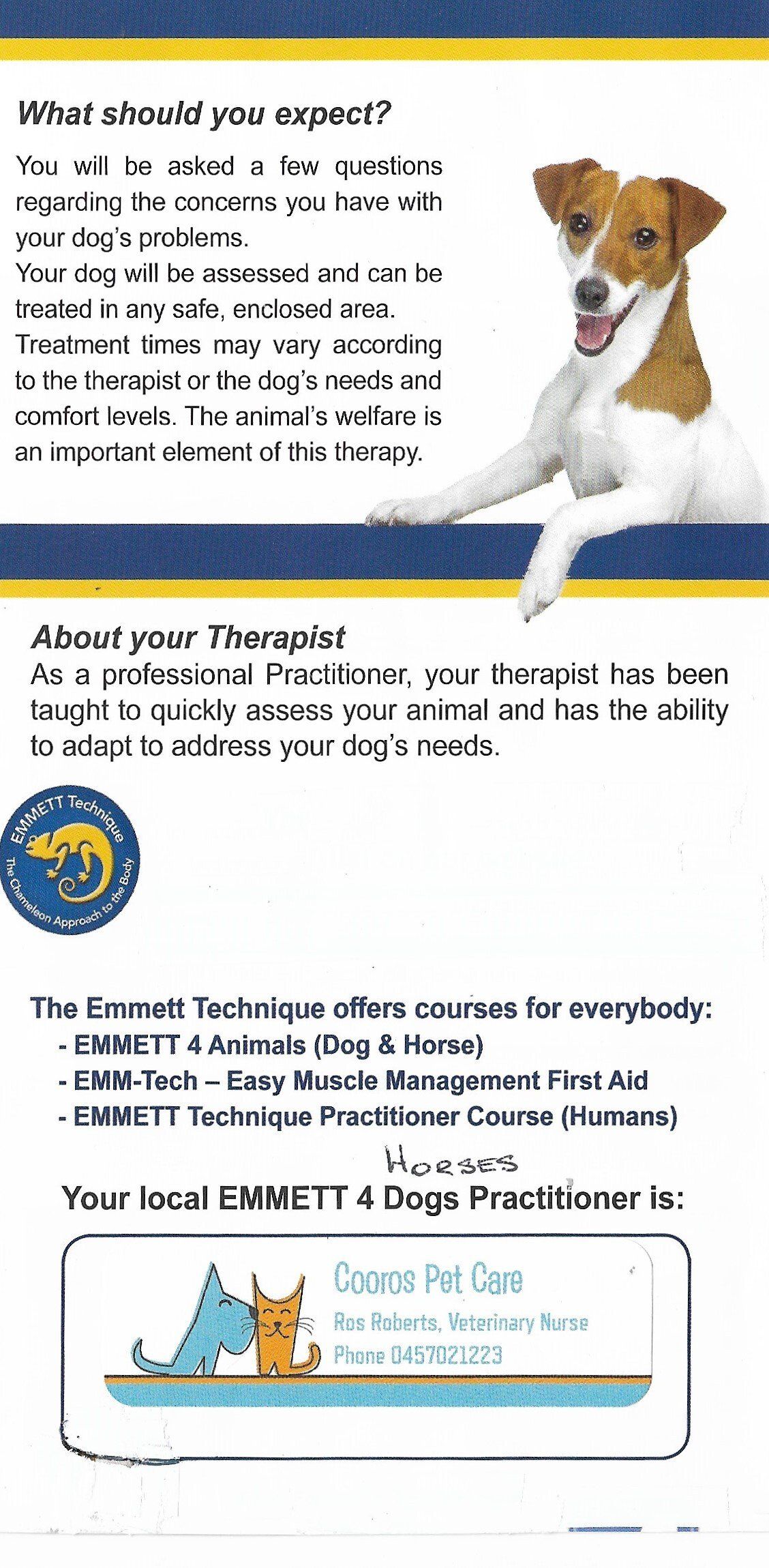 K9 & Feline Instincts — Animal Care Sydney in Castle Hill, NSW