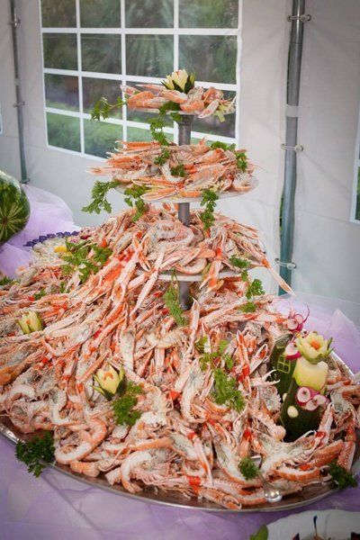 servizio catering per feste