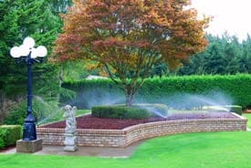 Tree Garden with Sprinkler - Sprinkler Service in Oregon City, OR Tree Garden with Sprinkler - Sprinkler Service in Oregon City, OR