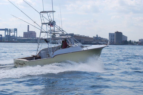 Boston Fishing / Reel Pursuit Charters:
The Best Fishing Experience in Boston