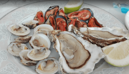 Ristorante, pesce crudo, pesce fresco, ostrica, ristorante brindisi