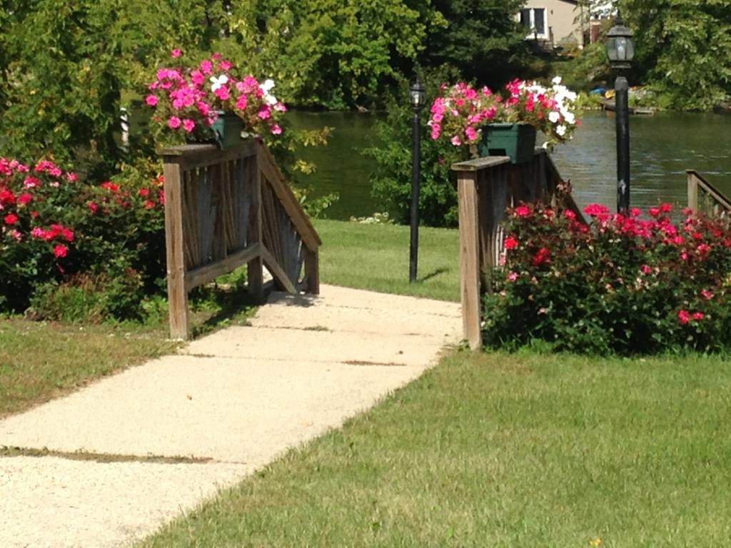 the patio on a sunny day