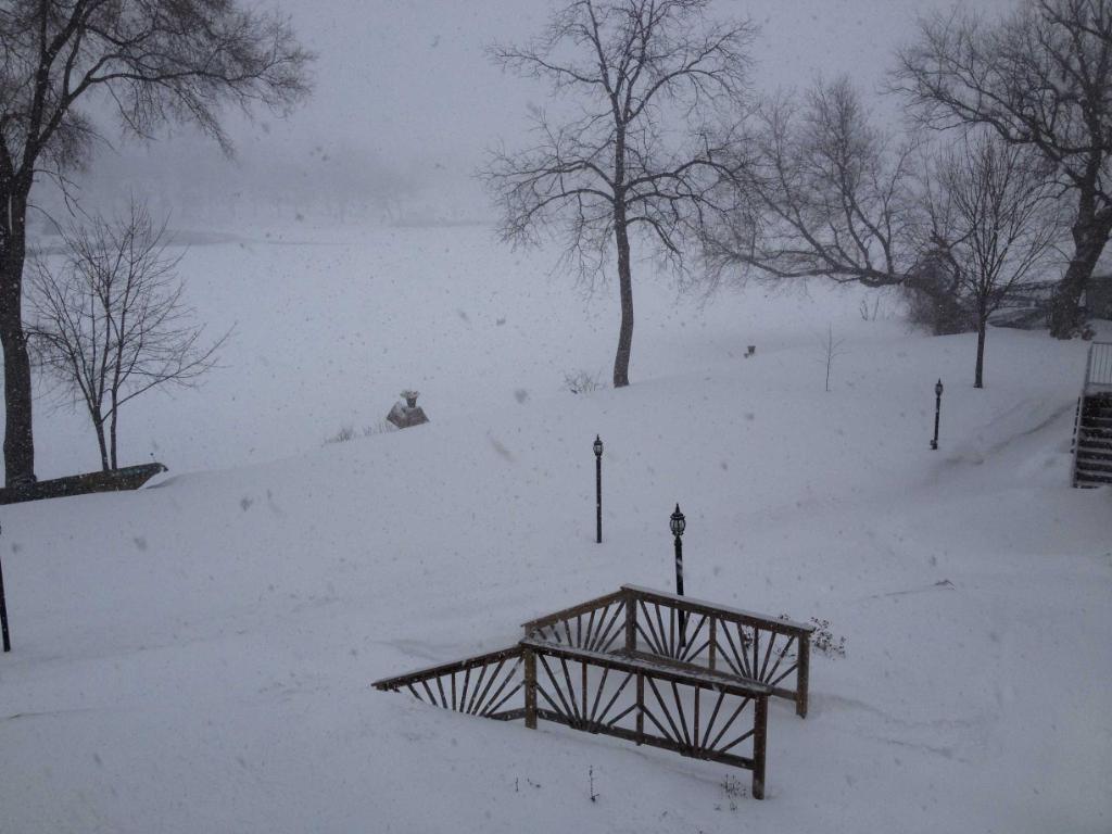 snowy backyard