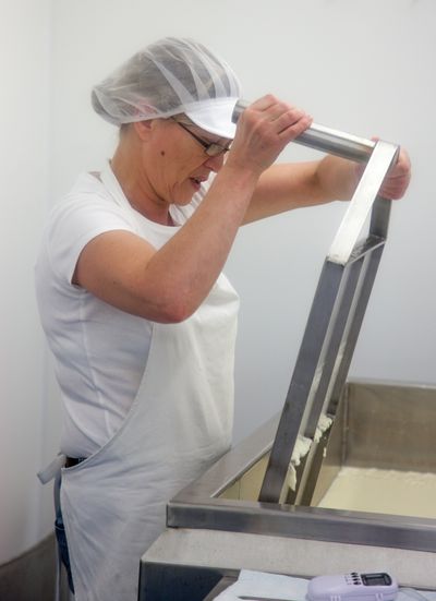 Julie Howe is in charge of most of the cheese production. Here, she separated the curds and whey into cubes which prepares it for the next process of cheese making. Ponsanooth, Cornwall. 13.10.15
