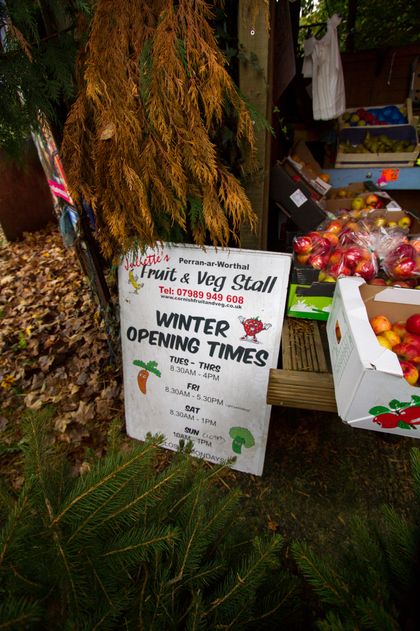 A sign for the winter opening times of the Fruit and Veg stall, placed amongst some of the trees and fruits in the stall. Perran-ar-Worthal, Cornwall. 30.10.15. A sign for the winter opening times of the Fruit and Veg stall, placed amongst some of the trees and fruits in the stall. Perran-ar-Worthal, Cornwall. 30.10.15.