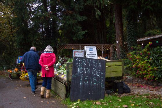 A couple browse which fresh fruit and vegetables are available. Perran-ar-Worthal, Cornwall. 30.10.15. A couple browse which fresh fruit and vegetables are available. Perran-ar-Worthal, Cornwall. 30.10.15.