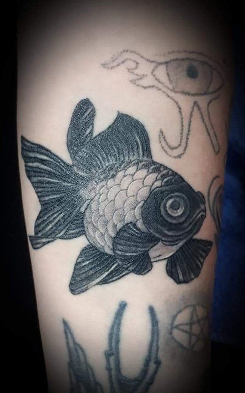 Fish Tattoo โ Creative Tattoo Art in South Lismore, NSW