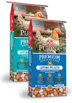Chicken and Bird Feed