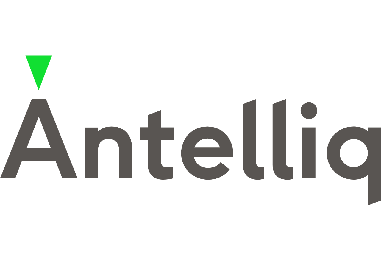 A logo for a company called anteliq with a green triangle in the middle.