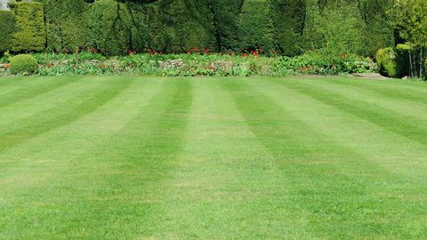 lawn mowing