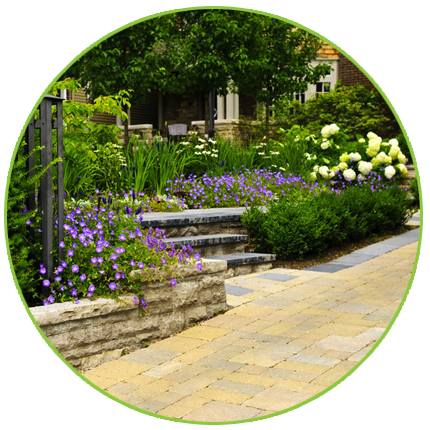 Talented gardeners