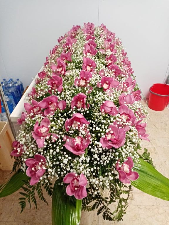 Fiori rosa