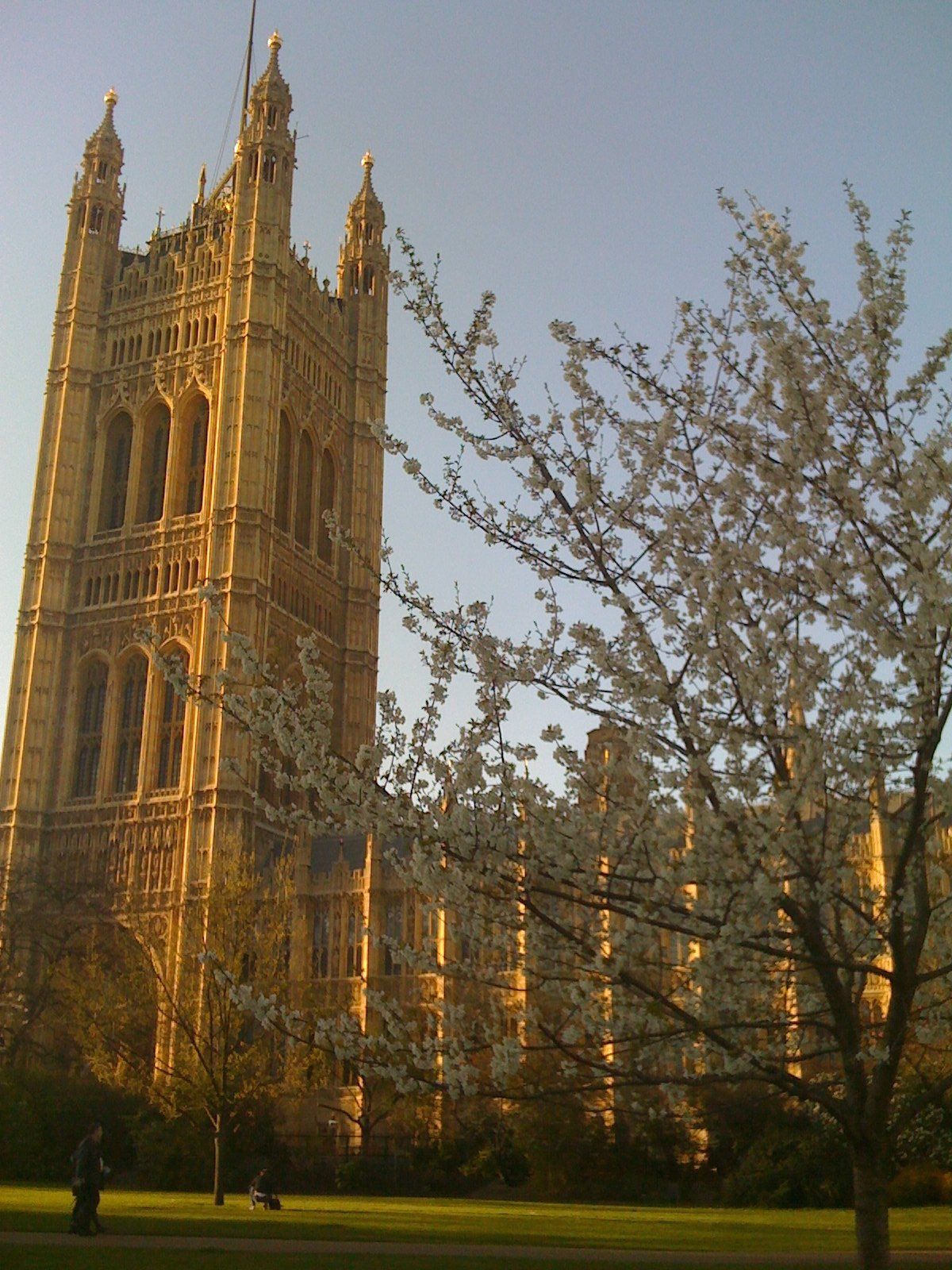 Skewed vision of Westminster, London.