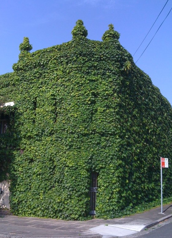 Green castle or overgrown outpost?