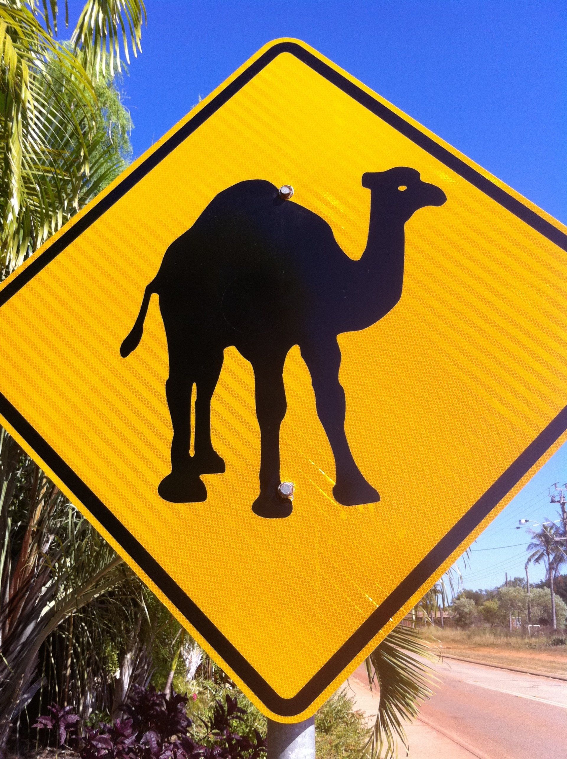 Watch out for wildlife, Broome, Western Australia.
