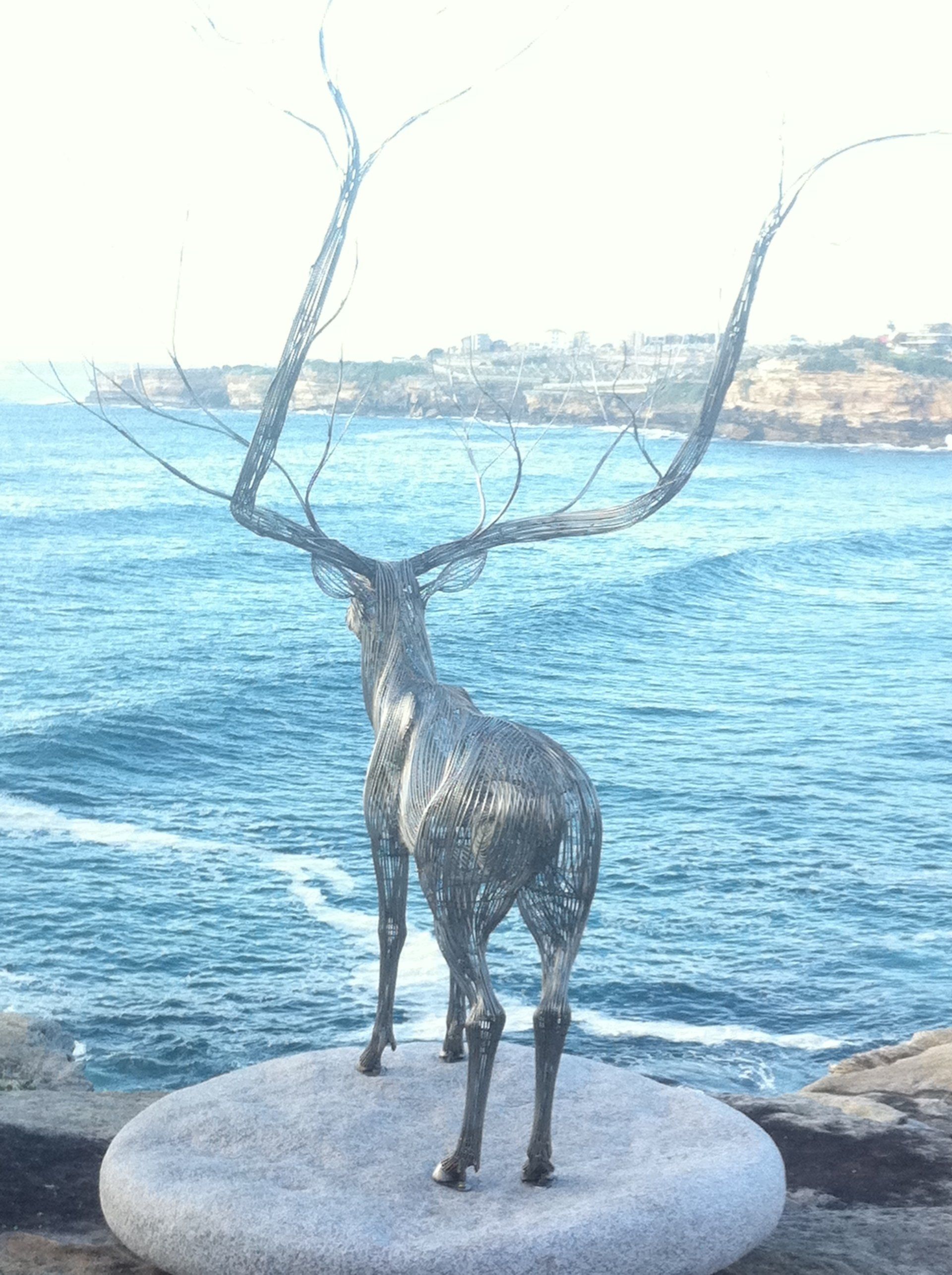 Sculpture by the Sea.