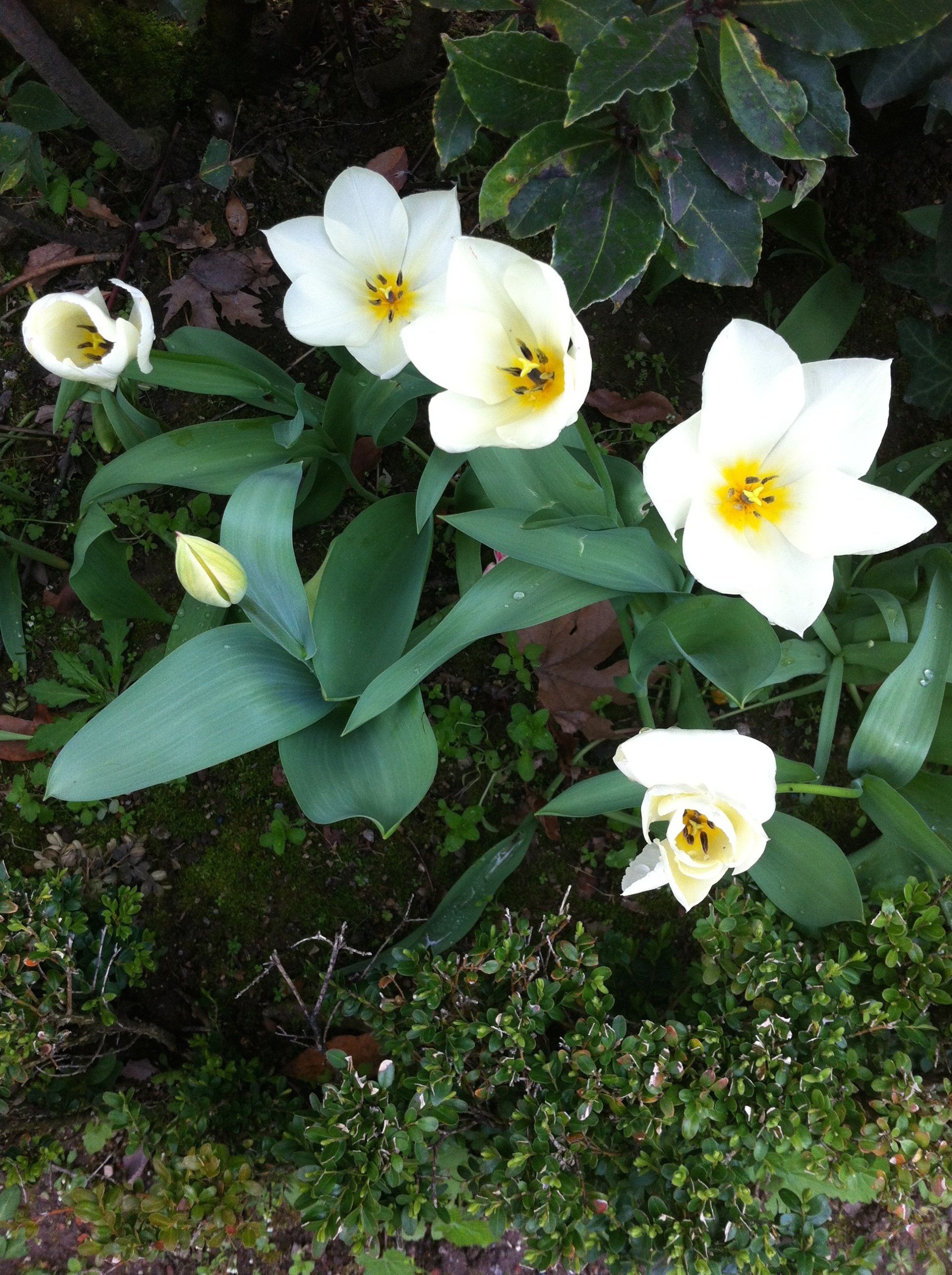 Nature's abundance is everywhere around us.