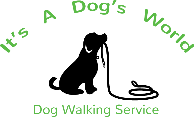 Logo and Web design Sparta NJ Sussex County