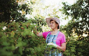 lady in garden