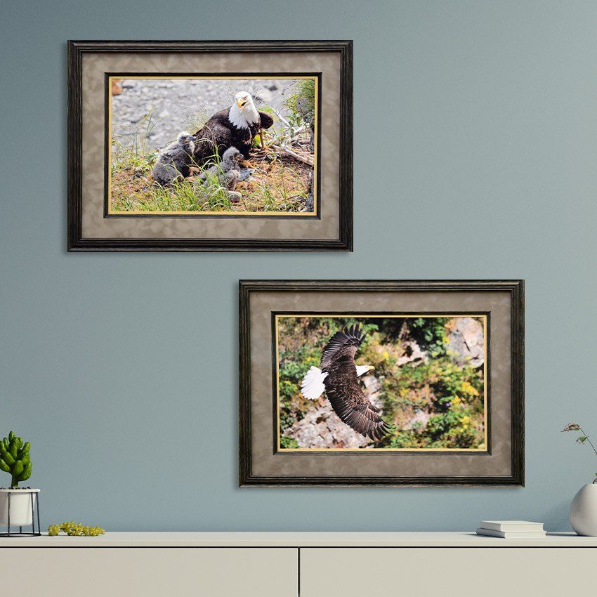 Custom Frame