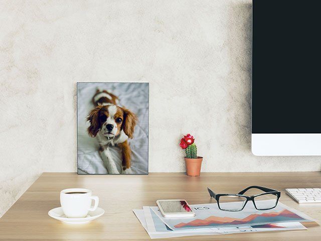 Metal Art Prints