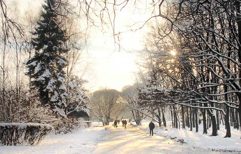 Winter Photo Tips